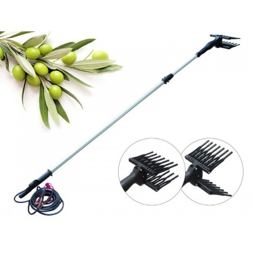 Abbacchiatore per olive - olive, a