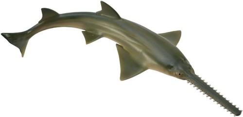 Collecta 88659 pesce sega - collecta,