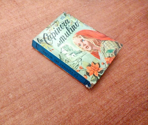 Capinera del mulino vol - -,