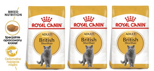 Royal canin alimento secco per - secco,