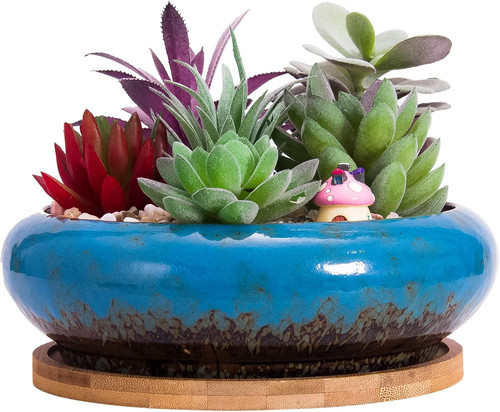 Vaso per piante - piante, grasse,