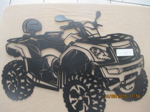 Goes quad modello acciaio - quad,