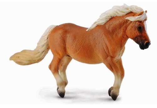 Collecta shetland pony - collecta,