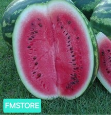 50 SEMI DI ANGURIA CRIMSON