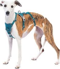 Pettorina Antifuga Cane