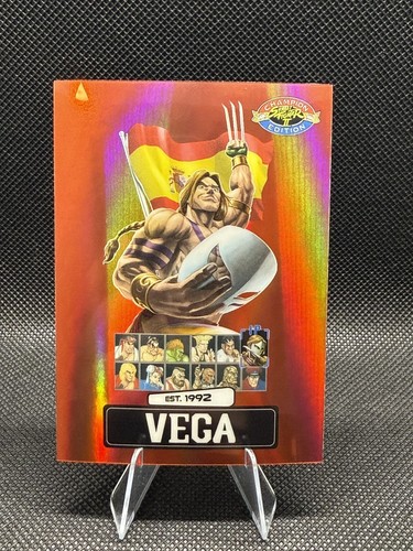 Street fighter champion - fighter, 2: