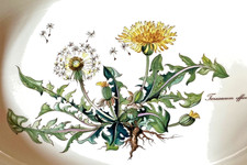 Villeroy & Boch, serie