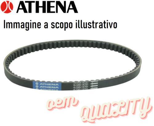 Cinghia trasmissione variatore - cinghia,