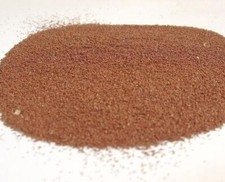 Uova Cisti Artemia Franciscana