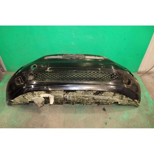 Paraurti ant fiat - 500e, (20)