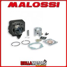 316405 GRUPPO TERMICO MALOSSI