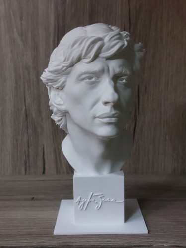 Ayrton senna busto statuetta - ayrton, "