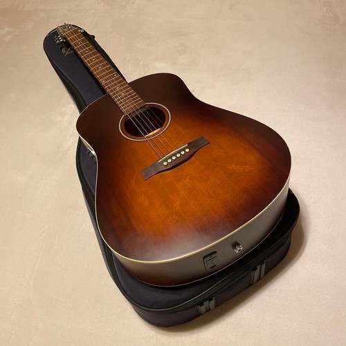 Chitarra acustica seagull - chitarra, s6