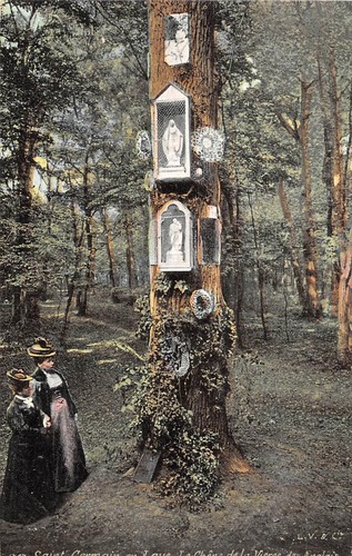 Uk30878 saint germaine forest - uk30878,