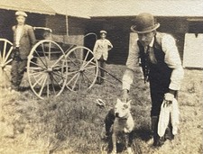 Pit Bull Terrier piccola foto antica d'epoca