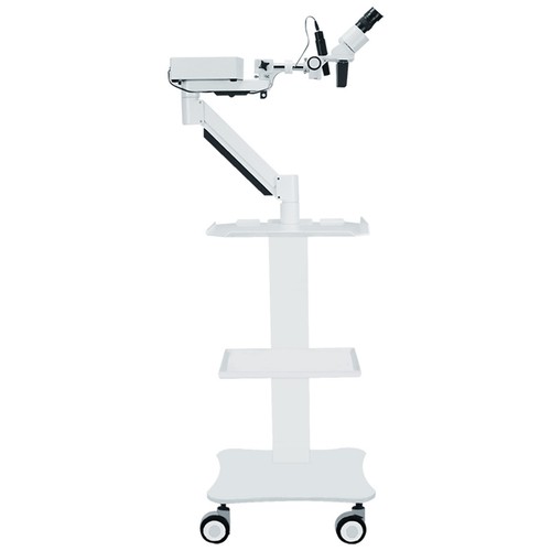 Microscopio stereo led - stereo,