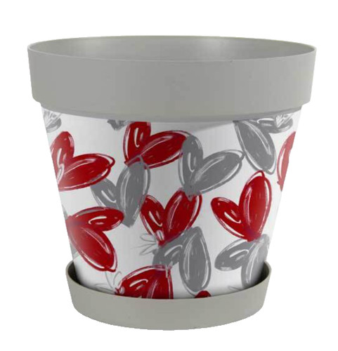 Vaso piante grasse fiori semi - vaso,