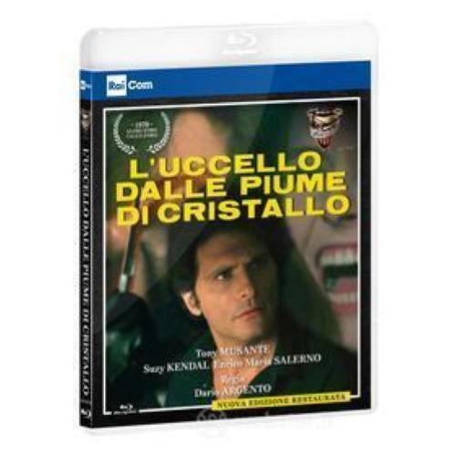 Uccello dalle piume - l'uccello,