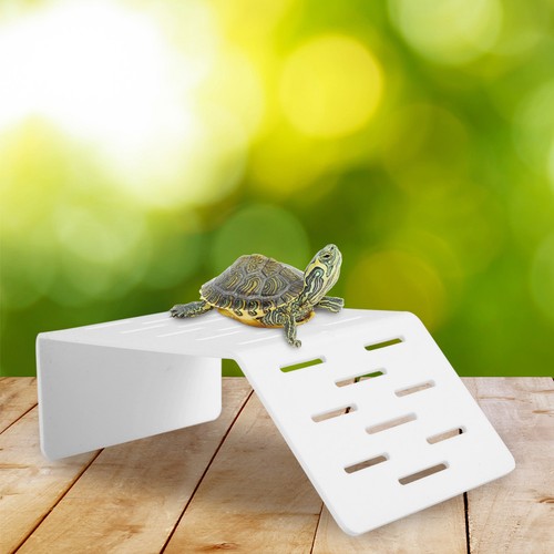 Accessori per rettili - ,