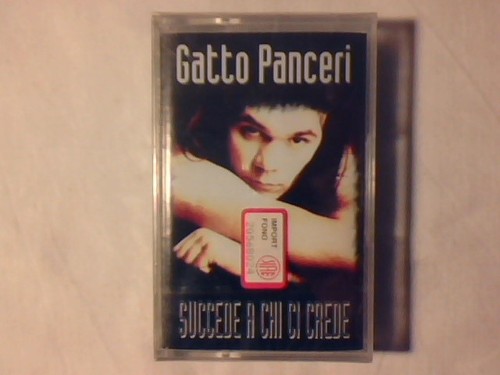 Gatto panceri succede chi ci - gatto,