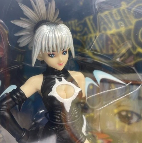 Shadow lady figure future - lady,