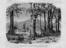 Stampa antica Veduta TAHITI Polinesia Francese 1859 Old Print