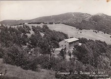 # CAMPIGNA: LA BURRAIA - 1955