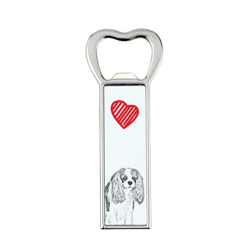 Cavalier king charles spaniel - king,
