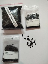 20 Graines Yucca Rostrata + 20