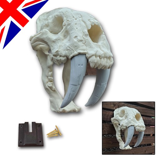 Sabre tooth tiger large - tiger, 3d