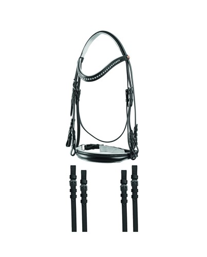 Briglia dressage con - jm,
