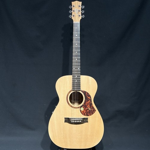 Chitarra elettrica acustica
