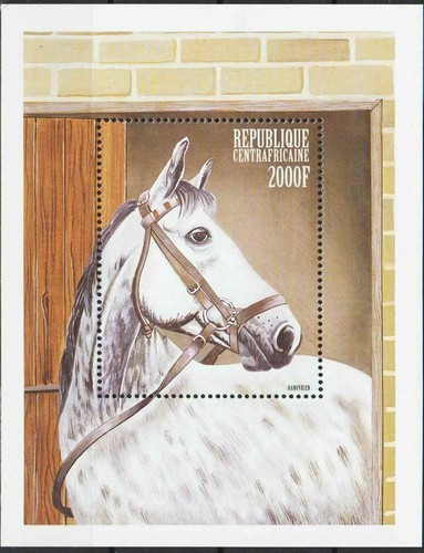 Rep centrafricana 1999 - centrafricana,