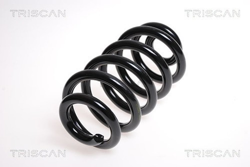 Molla assetto triscan 8750 - triscan,