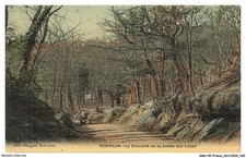 AMSP8-0770-92 - ROBINSON -