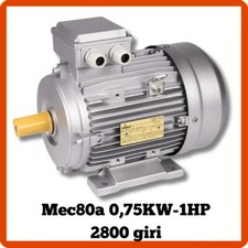 Motore elettrico trifase