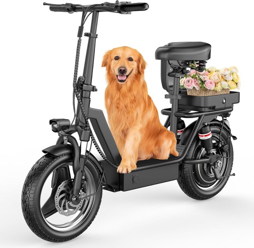 Electric scooter 1000w 48v - electric,