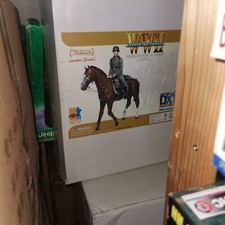 Action Figure 1/6 Dragon