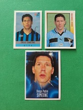 PANINI MERLIN EUROFLASH