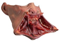 Costume Halloween Vamp