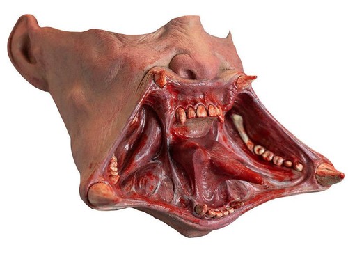 Costume halloween vamp - costume,