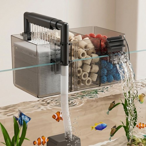 Scatola filtro serbatoio - , pesci