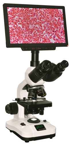 Microscopio trinoculare medico - trinoculare,