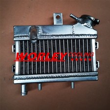 Aluminum Radiator for Polini