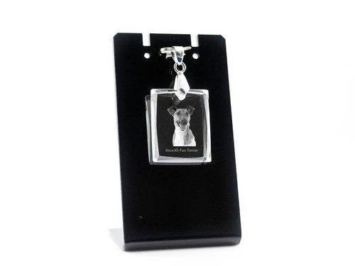 Fox terrier lisci jack - fox,
