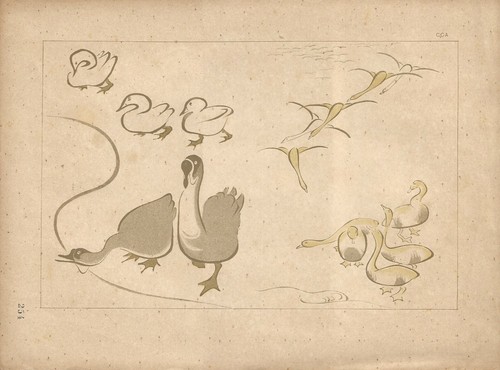Stampa antica giappone oche - giappone,