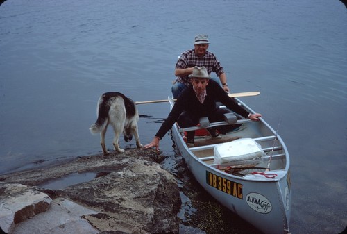 1967 uomo canoa cane - in, lago
