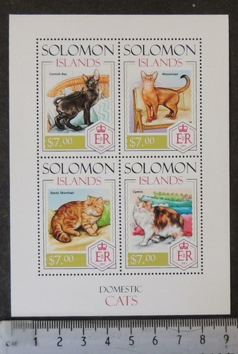 Solomon 2013 domestic - , cats