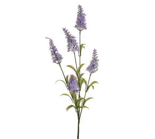 Ramo lavanda aperta - ramo, 1