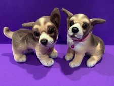2 CHIHUAHUA puppies with bed